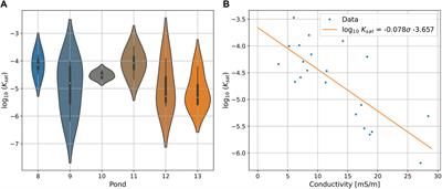 3D hydrogeophysical characterization of managed aquifer recharge basins